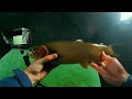 EPIC Underwater Footage! Ice Fishing 2 POUND Perch and Camera-Eating Trout