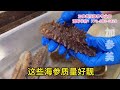 日本关东辽参泡发过程—【Maybel话你知】Japan sea cucumber soaking method