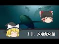 【ゆっくり解説】ヤバすぎる深海の謎　12選