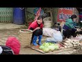 Harvest Cabbage Goes to the market sell - Daily life | Lý Tiểu Anh