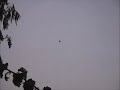 UAP UFO 2.