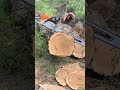 Ported Stihl MS461 Chainsaw