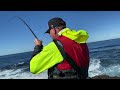 A Different Way To FISH | ROCK BLACKFISH