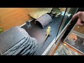 Bearded dragon room full tour and feeding! 🦎