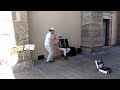 Street Whispers Band - Street Musicians; Busking, Salzburg