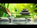 Music to Relax the Mind, Music for Meditation, Relaxing Sleep Music, Zen, Water Sounds, Bamboo