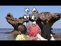 They stepped into the southernmost point[Hololive clip/Subaru Oozora/Miko Sakura/ Mio Ookami].