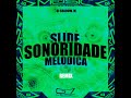 Slide Sonoridade Melódica (Slowed)