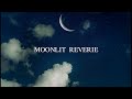 【SAD PIANO】 Moonlit Reverie – Piano Music for Studying and Sleeping