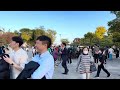 紅葉で外国人観光客が殺到する大阪城公園 2023 Osaka Castle