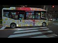 Japan: Tokyo Sumida Cherry Blossom Festival Night Walk • 4K HDR