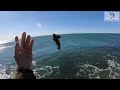 Pescando En Las Rocas De Ventura