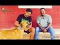 🐕‍🦺🐕‍🦺ஆக்ரோசமான கோம்பை நாய்கள் வளர்ப்பு | கோம்பை நாய்கள் தமிழ்நாட்டின் அடையாளம் | Kombai Dogs Kennel