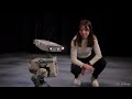 Design and Control of a Bipedal Robotic Character