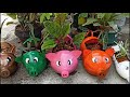 PIG SHAPED PLANT POT