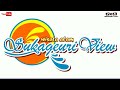 Video Drone Nature Tourism Sukageuri Kuningan