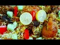 How To Cook Traditional, Delicious & Spicy Pakistani Chicken Drumstick Biryani By Homemade Food