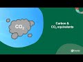 Calculating biomass and carbon