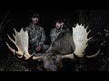 Last Chance | Moose Hunt in Northern British Columbia |