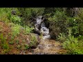 Small Cascade Soothing and Relaxing (Albion Basin) Sleep/Rest/Relax (4K)