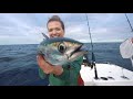 Amazing Fishing in our Tropical Island backyard! - Florida Keys living on the ocean [Catch & Cook]