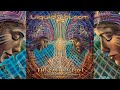 Liquid Bloom - The Face of Love: A Guided Spirit Journey [Full Album]