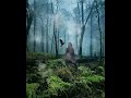 Witchy Magickal Playlist  NORDIC CELTIC FOLK #witch #magical #pagan #celticmusic #celtic #playlist