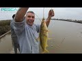 SIN PALABRAS TERRIBLE PESCA Y COCINA EN ZARATE RIO PARANA EL CHUZA