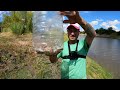 PESCA, Cocina y Campamento en rio Gualeguay, PESCADO FRITO, Fritanga, BAGRES, Pesca de Barrio 2023