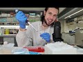ASMR | Relax while I quantify protein concentration | Evening lab work #2 (4K)