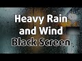 Heavy Rain and Wind Sounds Black Screen - 10 Hours of Countryside Rain for Sleep