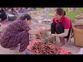 Harvesting Galangal Roots For Sale In Local Market | Cook Amazing Foods With Galangal | Lý Thị Hồng