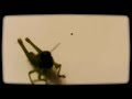 The Baddest Grasshopper
