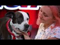 Most EMOTIONAL Auditions on AGT 2023!