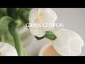 Playlist. 밝은 아침을 위한 힐링 음악ㅣ기분 좋은 멜로디와 함께 시작하는 하루 l GRASS COTTON+