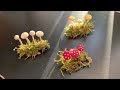 Making Hot Glue Mushrooms I Saw on TikTok 🍄