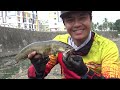 Ngeri ..!! mancing ikan gabus nemu sungai habis di bersihkan asal lempar langsung nyambar