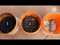 HOW TO COMPOST KITCHEN SCRAPS IN A SMALL SPACE