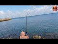 EXTREME..!! Angler's Hit on Big Fish Slaughter || BABOON BARONANG FISHING