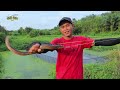 PERJUANGAN MENCARI SPOT MANCING BELUT ! HASILNYA MENGEJUTKAN