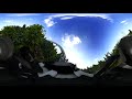 [Nolimits 2] Lightning 360° VR POV - 520ft Intamin Accelerator