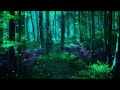 Enchanted Dreams | Meditation Music for Deep Relaxation