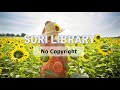 Royalty free bgm / free vlog music - Mr Sunny Face_Wayne Jones