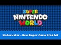 【SOURCE OST】Super Nintendo World: Underwater - New Super Mario Bros Wii