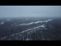 Winter Forest Ambiance - DJI Mini SE - Ontario