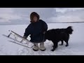 North Nomads life in winter. Ural mountains and tundra life. Russia. Full film.