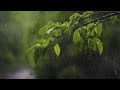 Soothing Relaxation • Relaxing Piano Music with Soft Rain Sounds ⛈ Sleep, Study, Relax