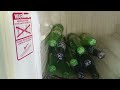 Vlog 196  Pinakain si Zach at nagbili ng softdrinks sa tindahan   | Madam Headband