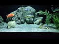 HOW I SAFELY DO WATER CHANGES ON MY 300 GALLON AQUARIUM