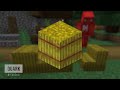 Minecraft’s “Illegal” Blocks!
